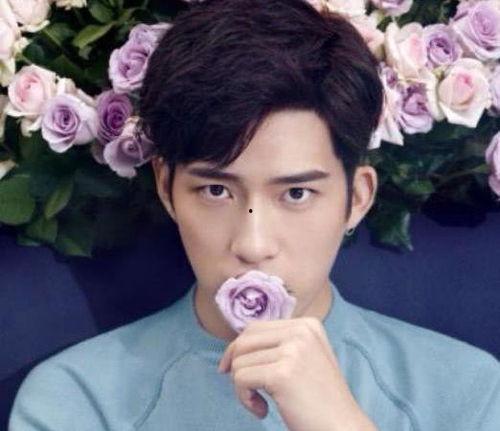 明星娱乐圈吃瓜节目推荐,明星幕后故事大起底